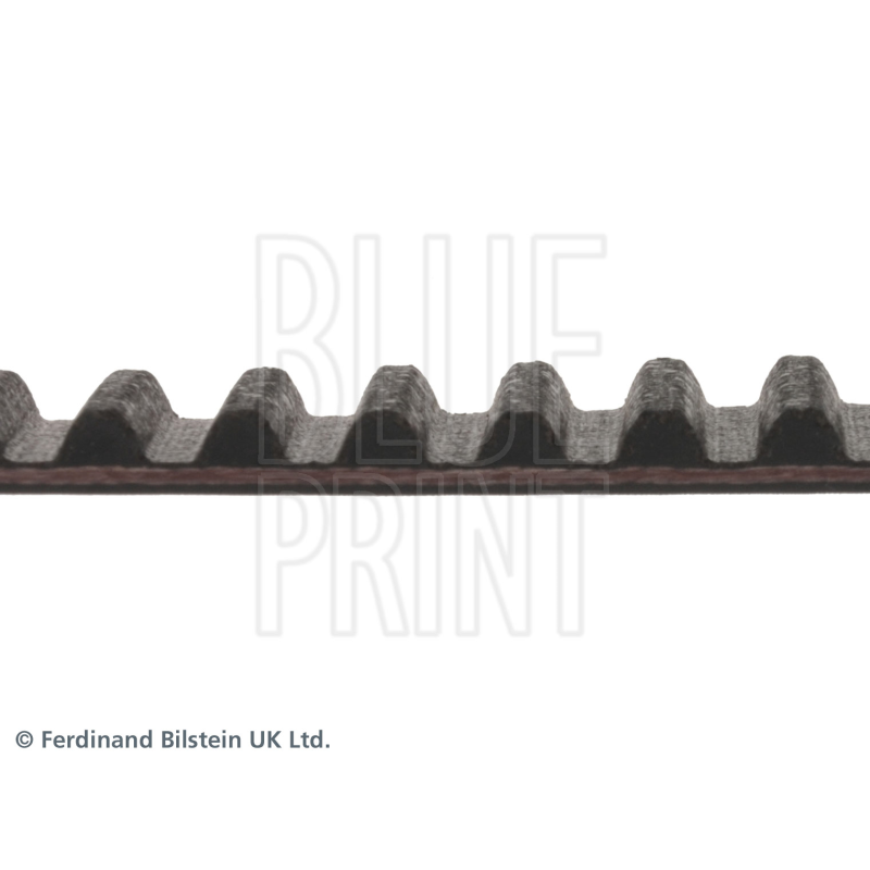 Cinghia/catena distribuzione - BLUE PRINT