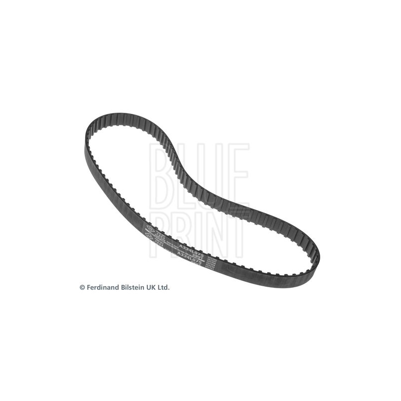 Cinghia/catena distribuzione - BLUE PRINT