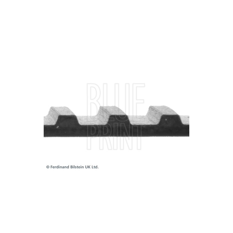Cinghia/catena distribuzione - BLUE PRINT