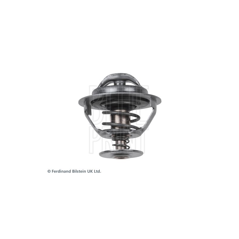 Termostato raffreddamento - BLUE PRINT