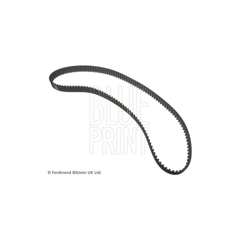Cinghia/catena distribuzione - BLUE PRINT