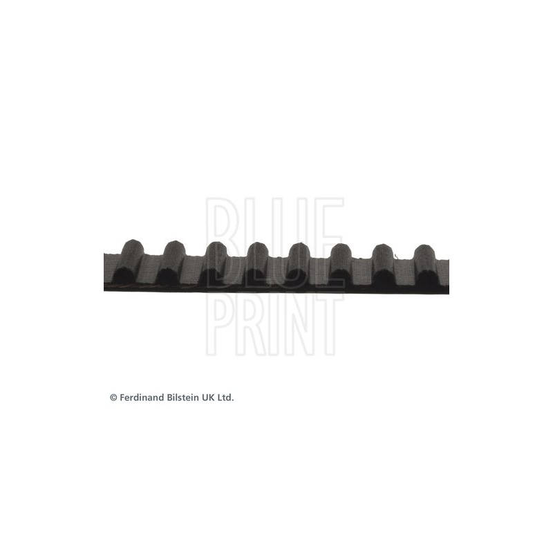Cinghia/catena distribuzione - BLUE PRINT