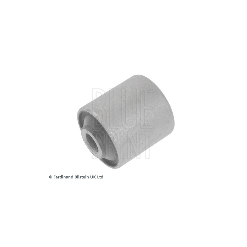 Supporto braccio oscillante - BLUE PRINT