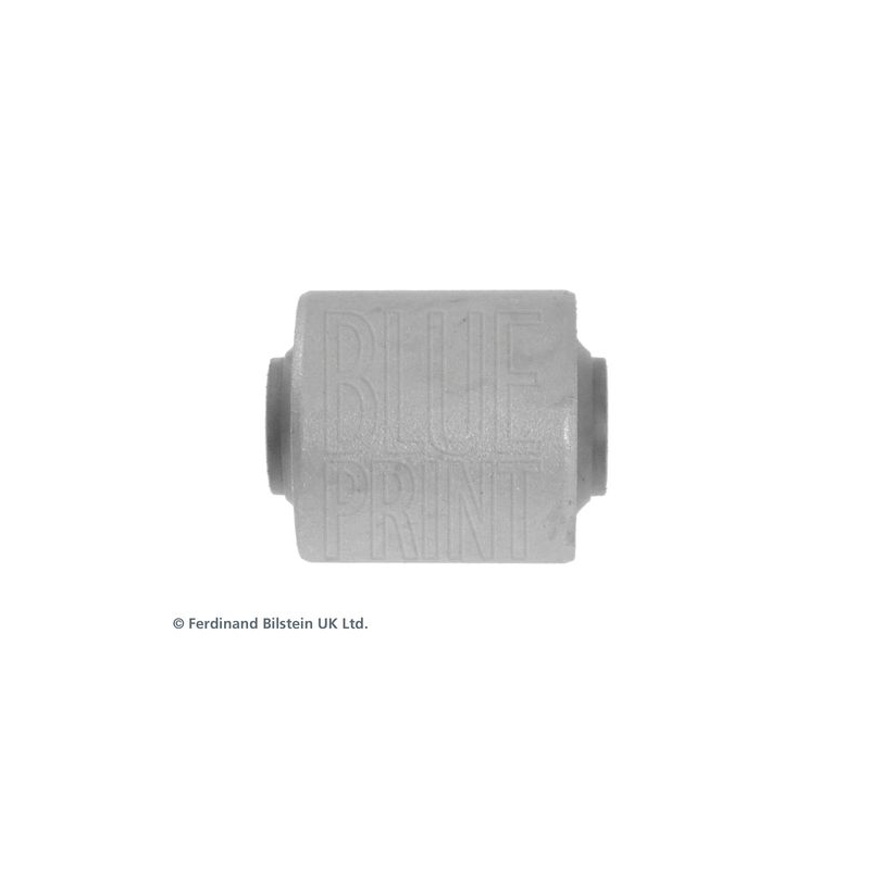 Supporto braccio oscillante - BLUE PRINT