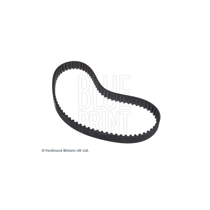 Cinghia/catena distribuzione - BLUE PRINT