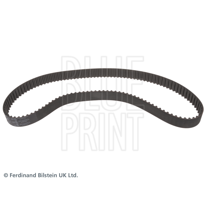 Cinghia/catena distribuzione - BLUE PRINT