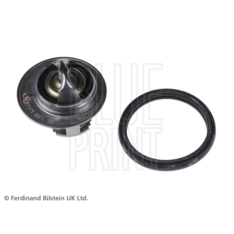 Termostato raffreddamento - BLUE PRINT