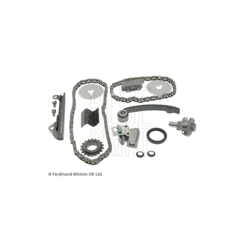 Cinghia/catena distribuzione - BLUE PRINT