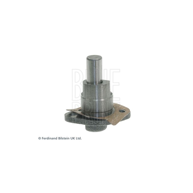 Cinghia/catena distribuzione - BLUE PRINT