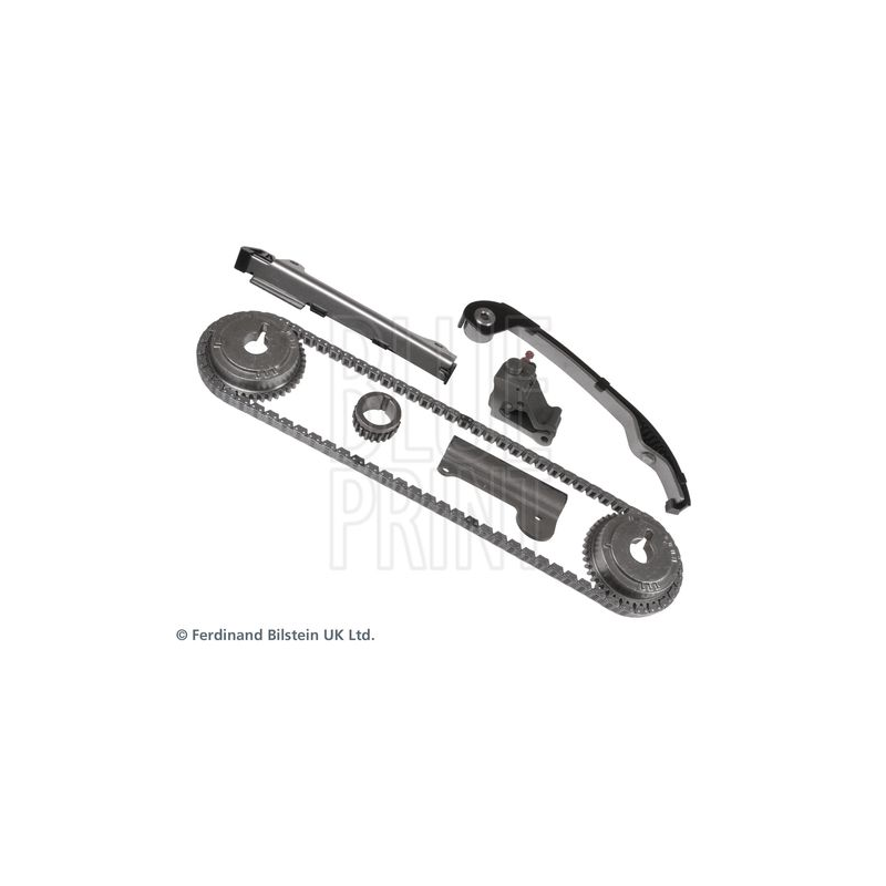 Cinghia/catena distribuzione - BLUE PRINT