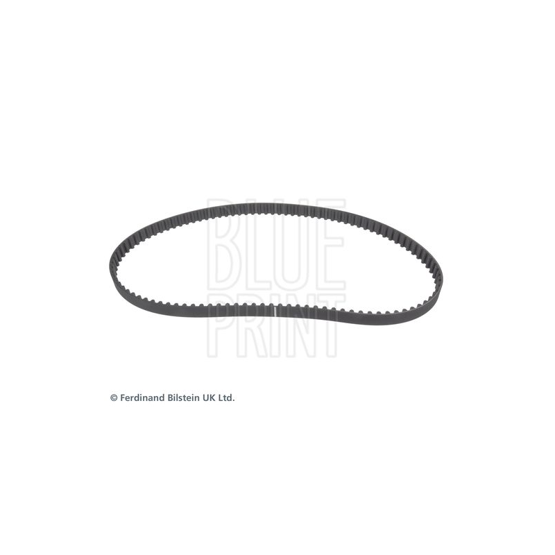 Cinghia/catena distribuzione - BLUE PRINT