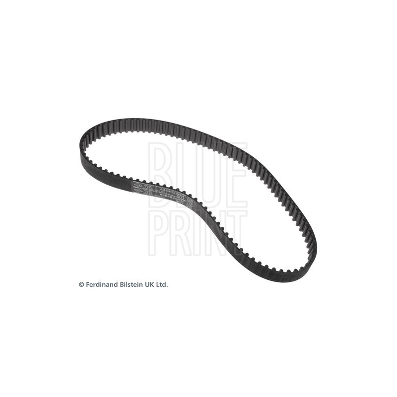 Cinghia/catena distribuzione - BLUE PRINT