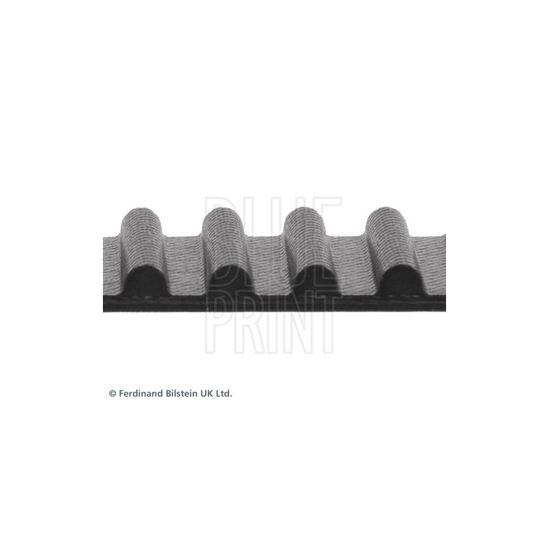 Cinghia/catena distribuzione - BLUE PRINT