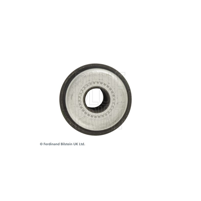 Supporto braccio oscillante - BLUE PRINT