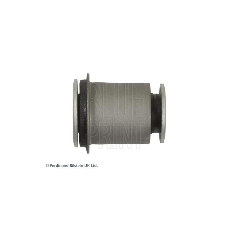 Supporto braccio oscillante - BLUE PRINT