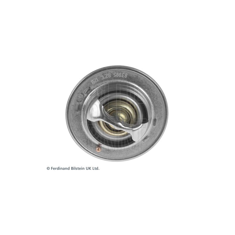 Termostato raffreddamento - BLUE PRINT