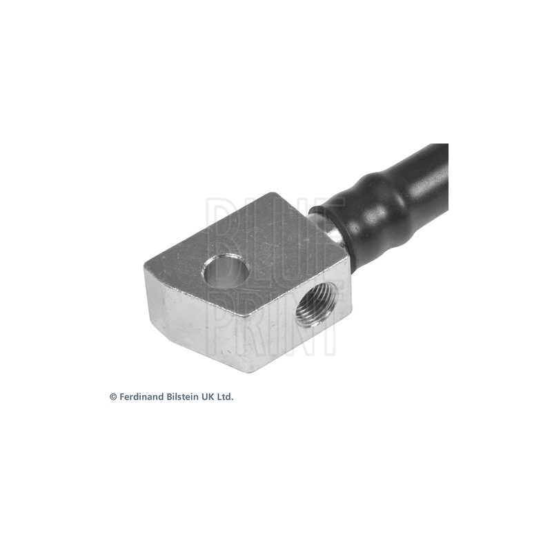 Flessibile freno asse posteriore - BLUE PRINT