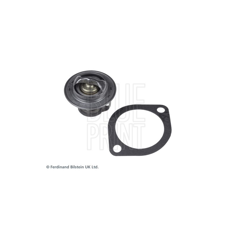 Termostato raffreddamento - BLUE PRINT