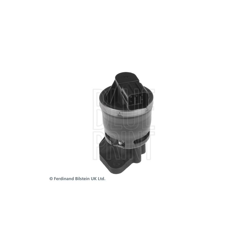 Valvola EGR - BLUE PRINT