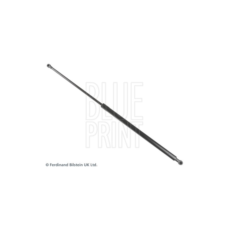 Pistoncino ammortizzatore - BLUE PRINT