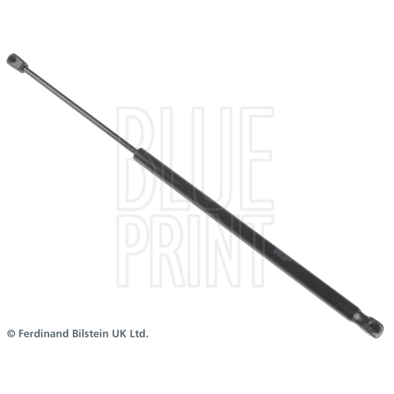 Pistoncino ammortizzatore - BLUE PRINT