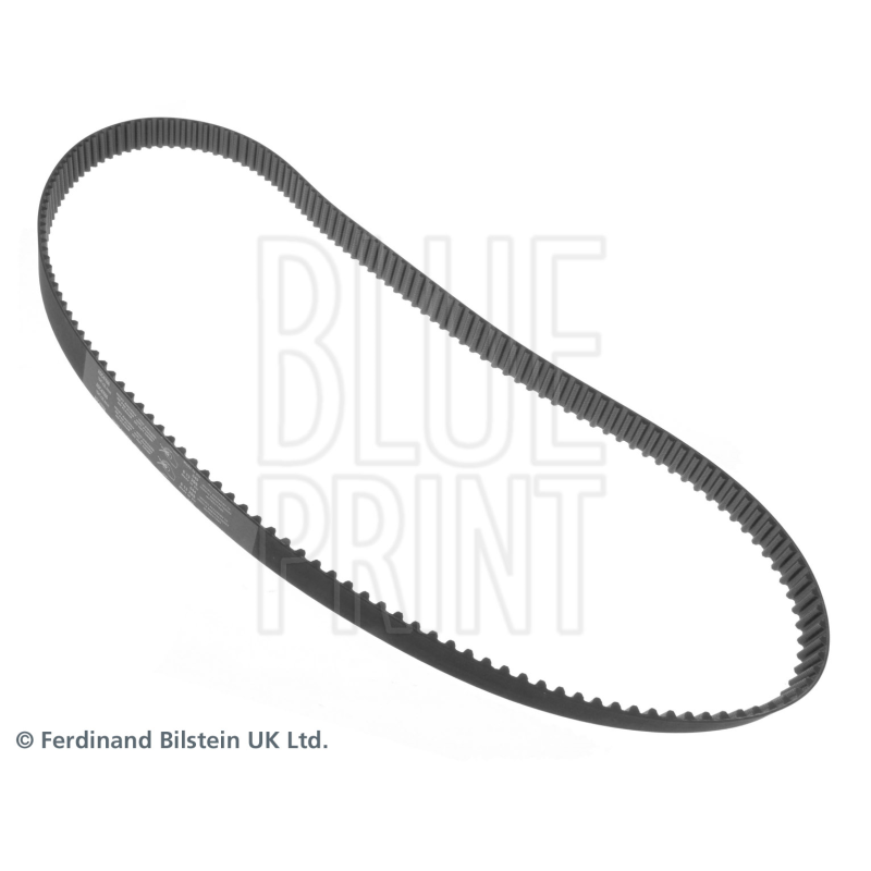 Cinghia/catena distribuzione - BLUE PRINT