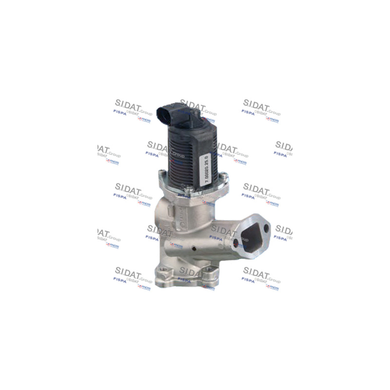 Valvola EGR - SIDAT