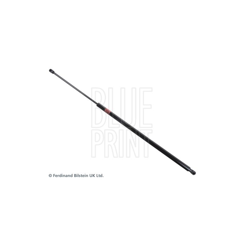 Pistoncino ammortizzatore - BLUE PRINT