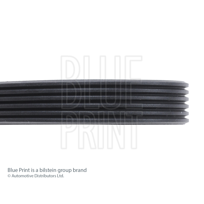 Cinghia trapezoidale - BLUE PRINT