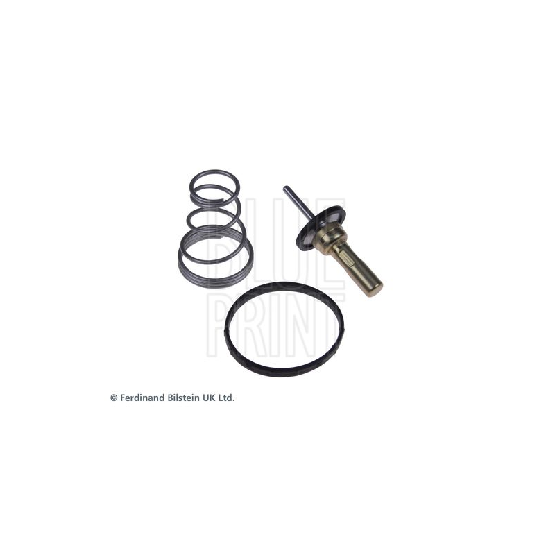 Termostato raffreddamento - BLUE PRINT