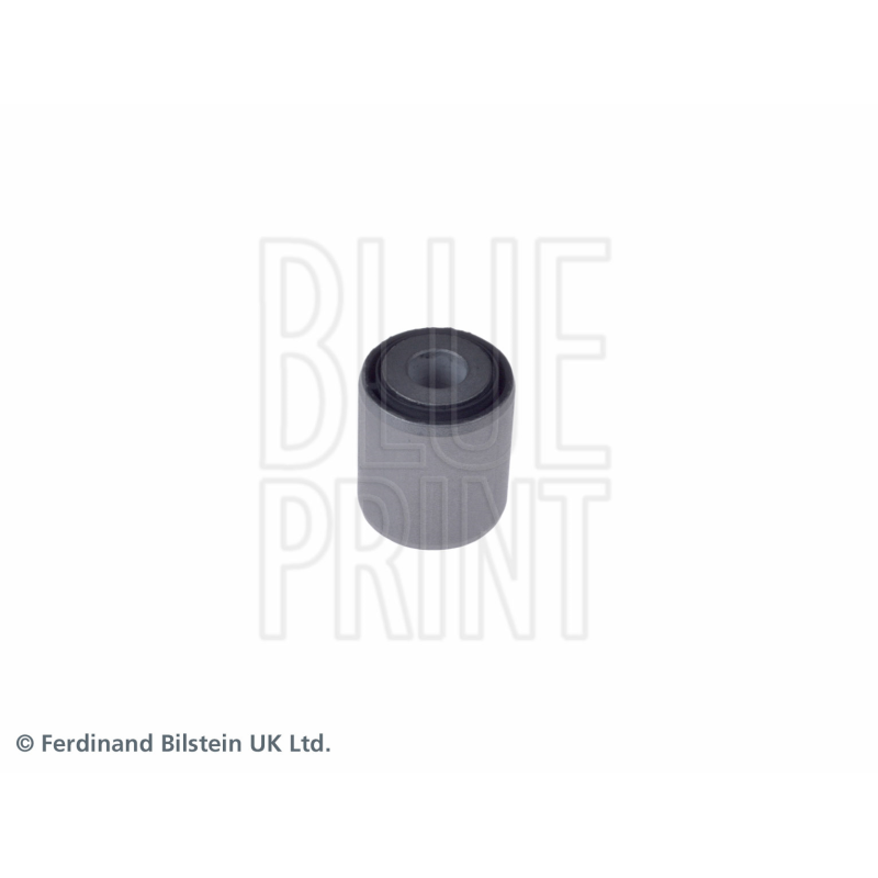 Braccio oscillante asse posteriore - BLUE PRINT