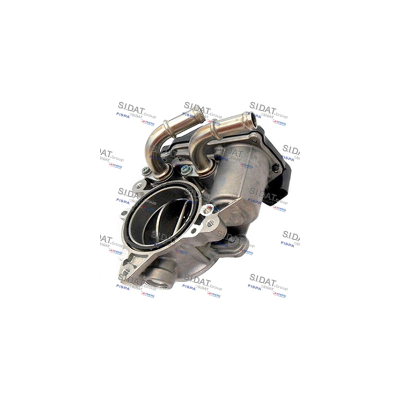 Corpo farfallato - SIDAT