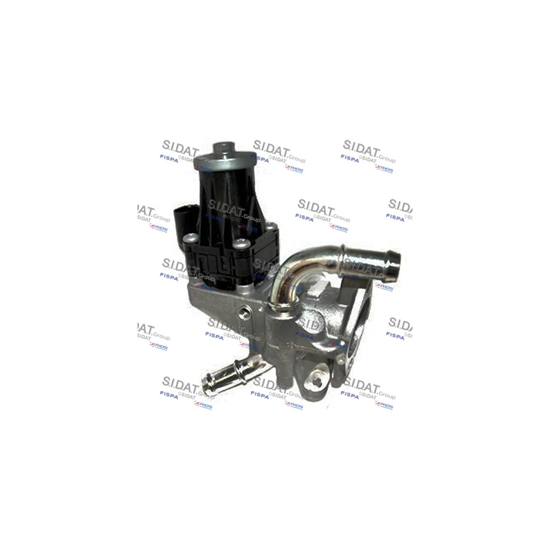 Valvola EGR - SIDAT