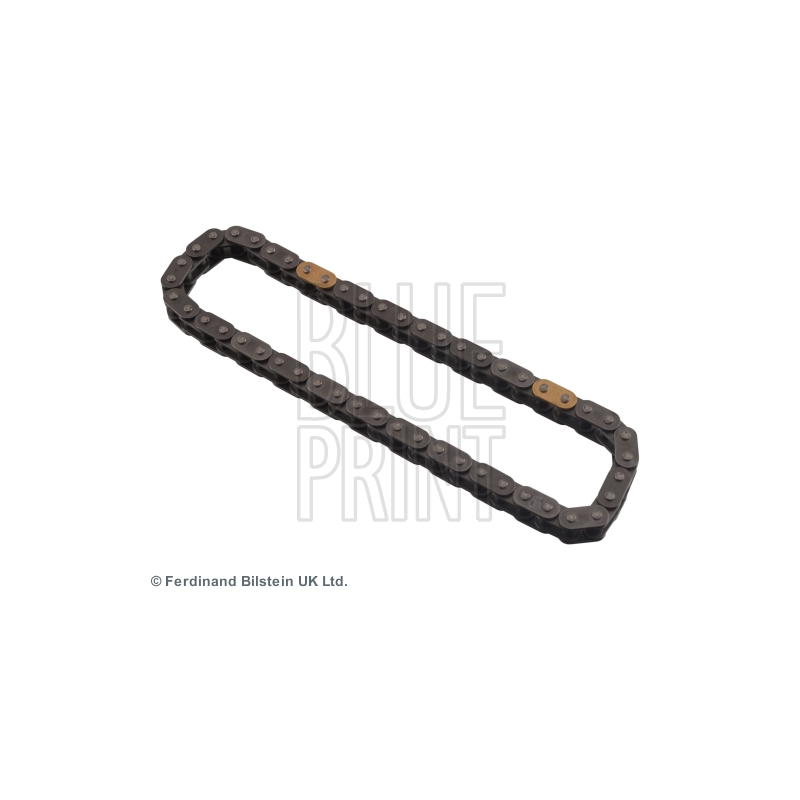Cinghia/catena distribuzione - BLUE PRINT