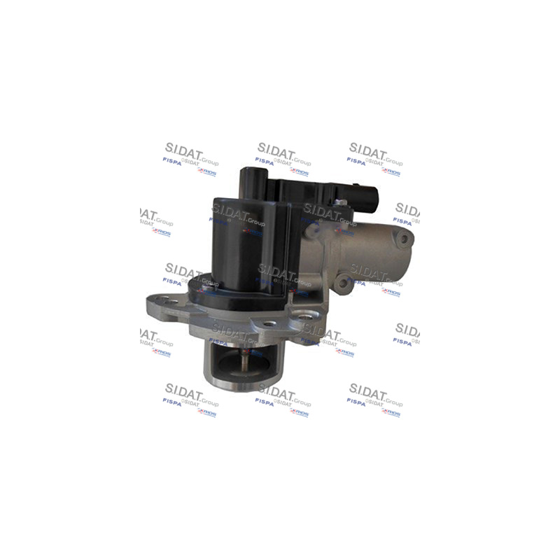Valvola EGR - SIDAT