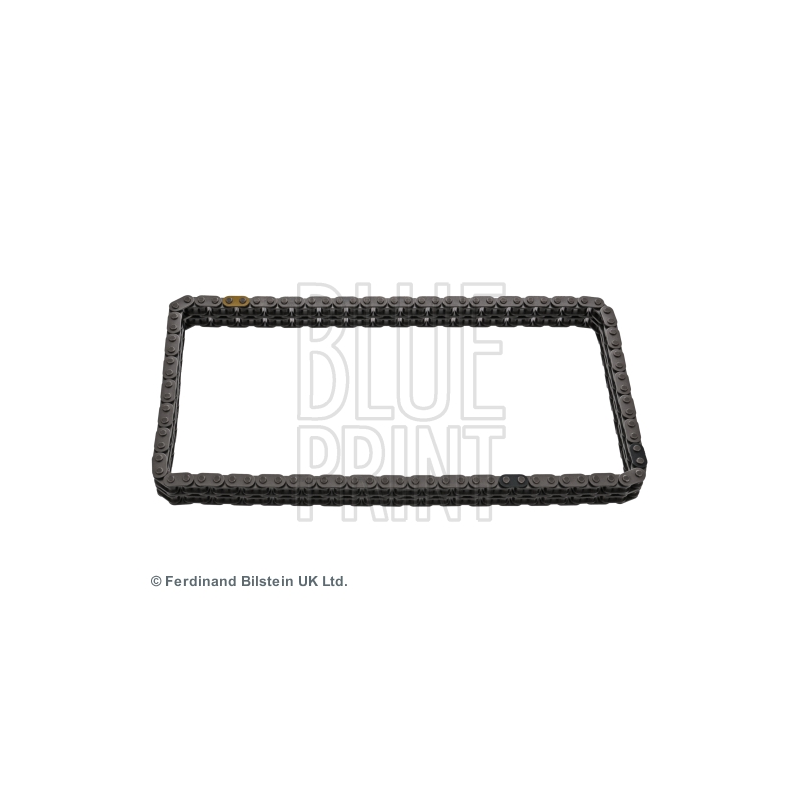 Cinghia/catena distribuzione - BLUE PRINT