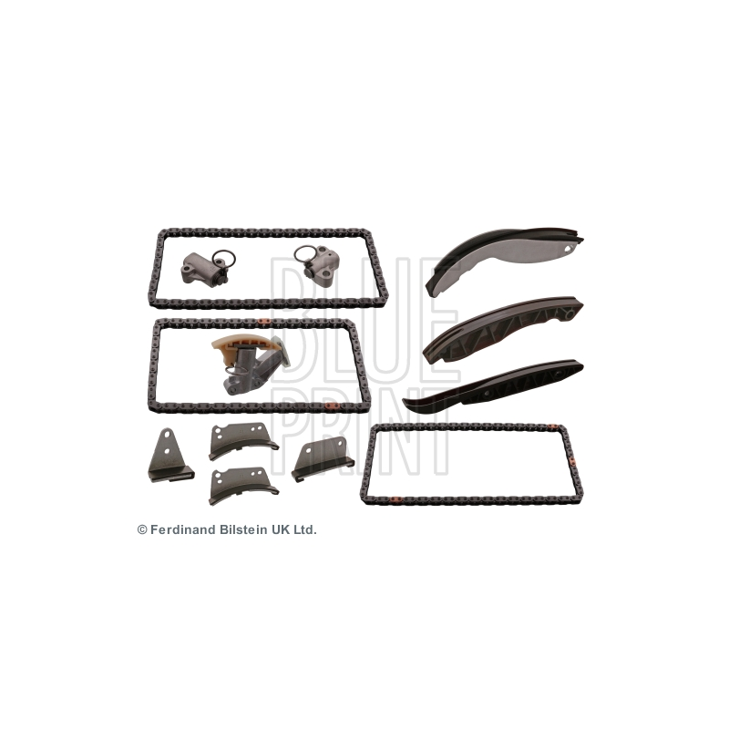 Cinghia/catena distribuzione - BLUE PRINT