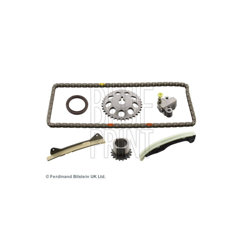 Cinghia/catena distribuzione - BLUE PRINT