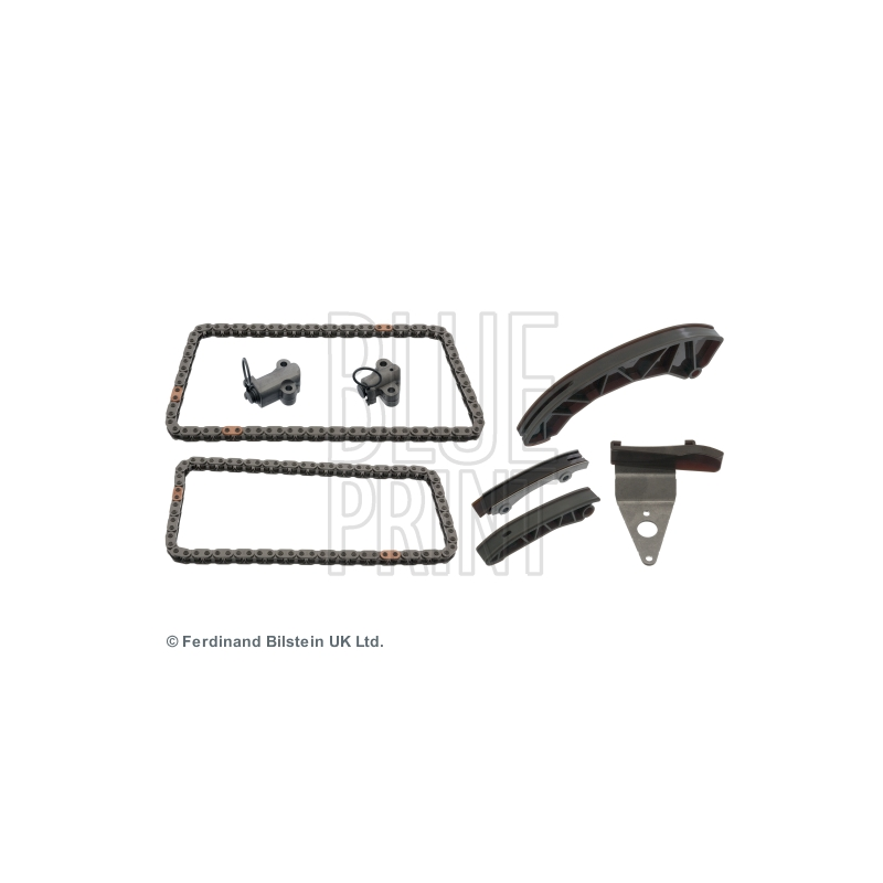 Cinghia/catena distribuzione - BLUE PRINT