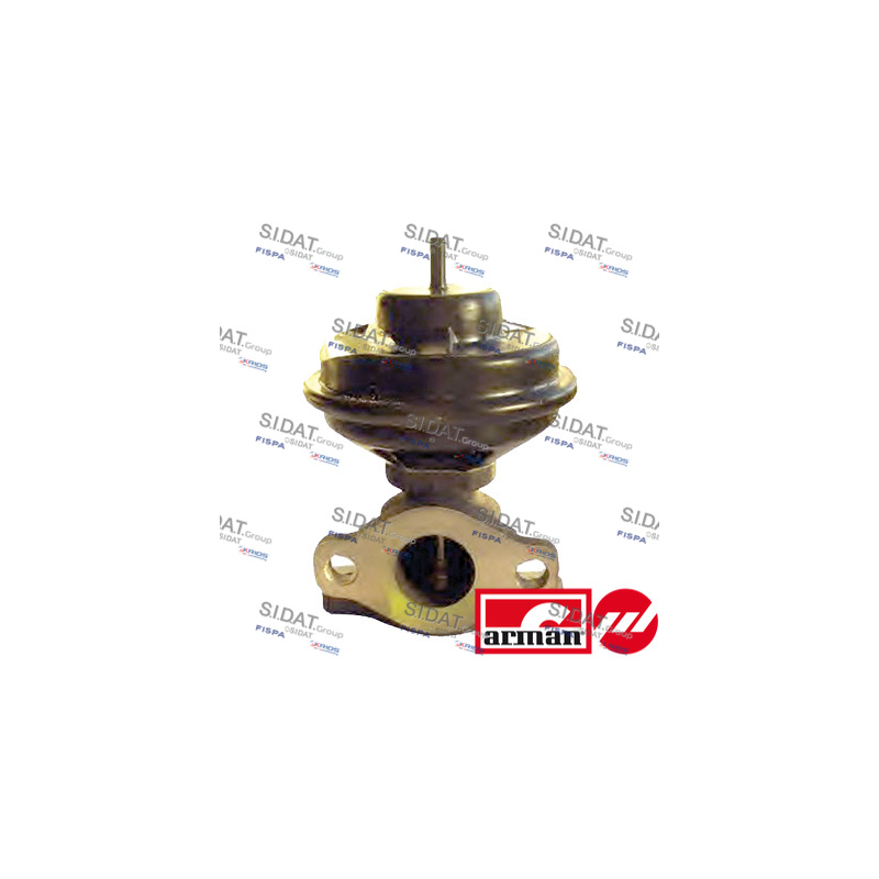 Valvola EGR - SIDAT