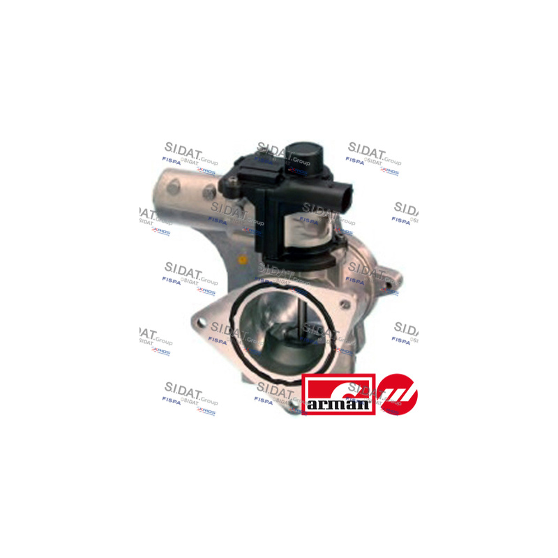 Valvola EGR - SIDAT