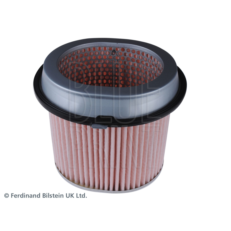 Filtro aria - BLUE PRINT