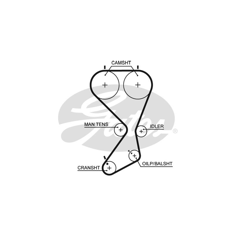 Cinghia/catena distribuzione - GATES
