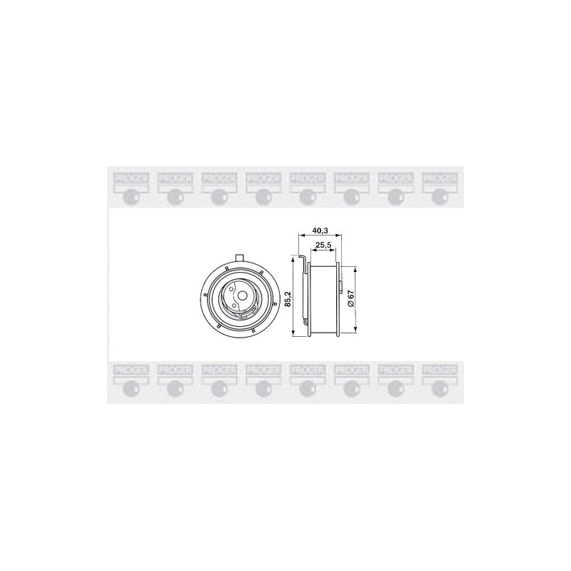 Tendicinghia distribuzione - SKF