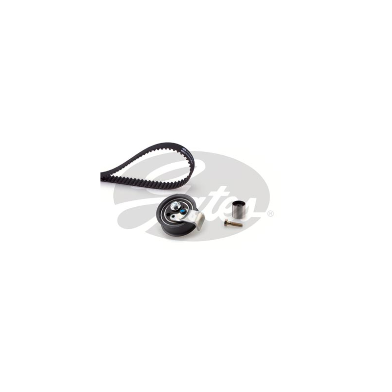 Kit distribuzione - GATES