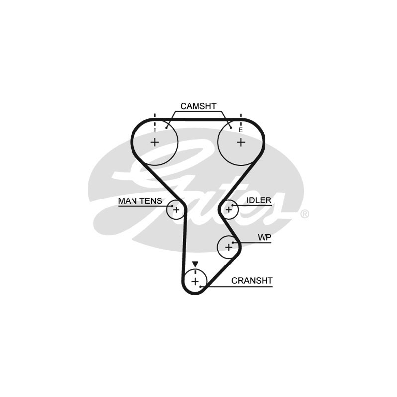 Kit distribuzione - GATES