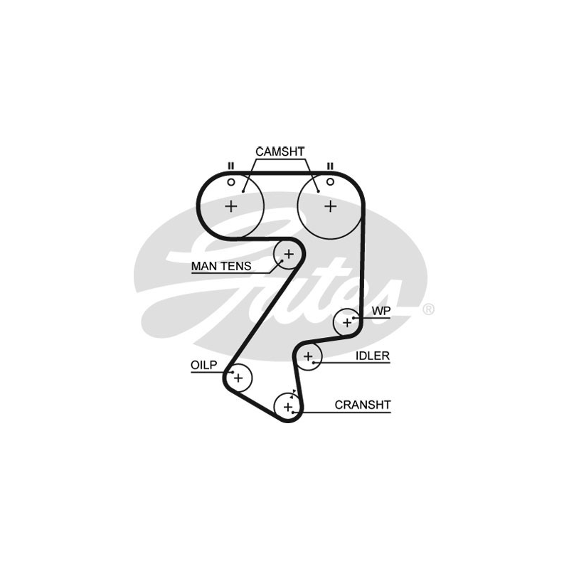 Kit distribuzione - GATES