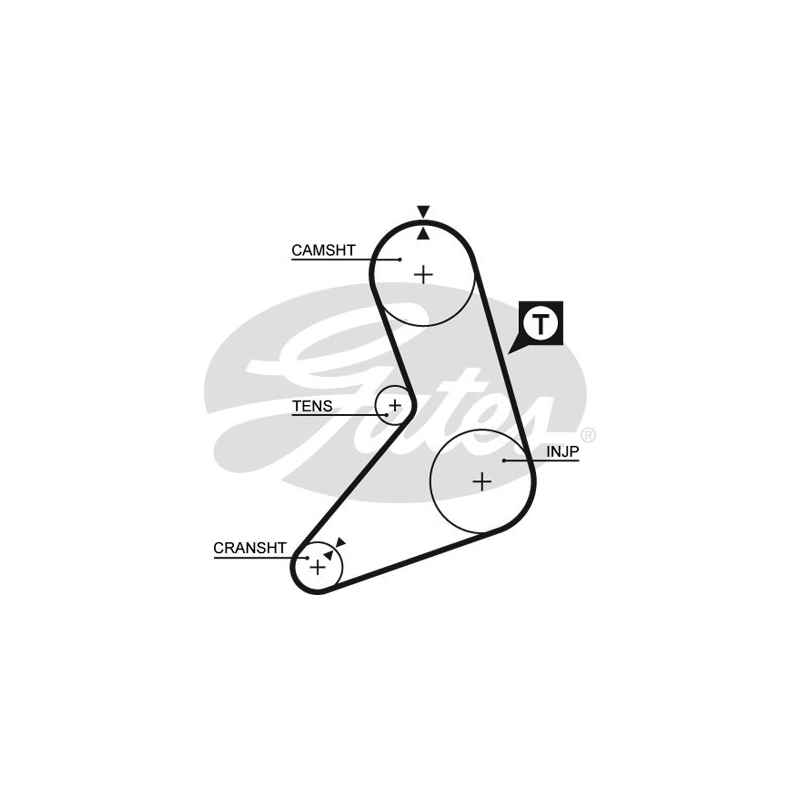 Cinghia/catena distribuzione - GATES