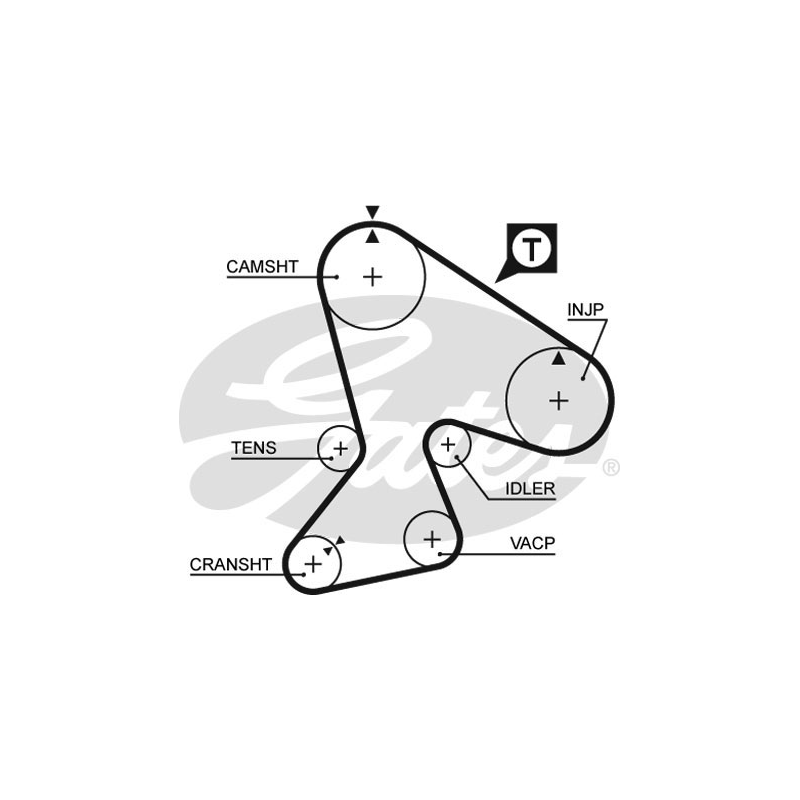 Cinghia/catena distribuzione - GATES