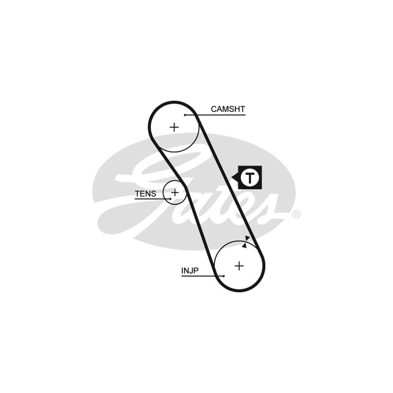 Cinghia/catena distribuzione - GATES
